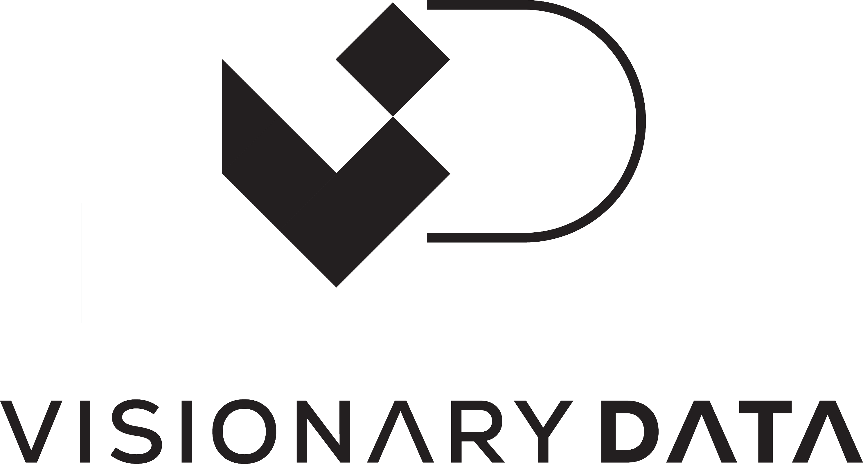 Visionary Data GmbH logo